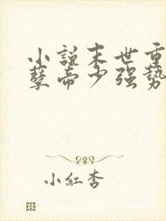 小说末世重生妖孽帝少强势宠