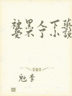 被黑人下药做得受不了小说