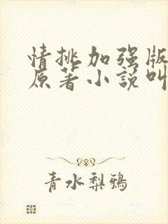 情挑加强版静心原著小说叫什么名字