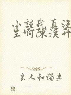 小说我真没想重生啊陈汉升最新章节列表