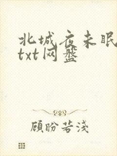 北城夜未眠小说txt网盘