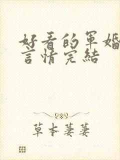 好看的军婚小说言情完结