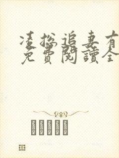 凌总追妻有点甜免费阅读全文