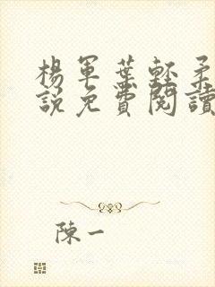 杨军叶轻柔的小说免费阅读无弹窗