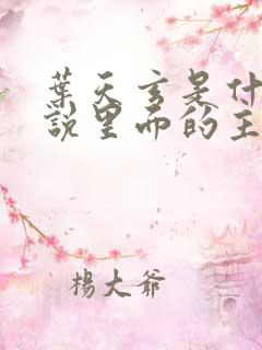 叶天玄是什么小说里面的主角