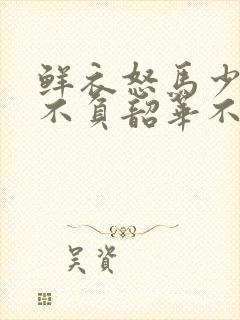 鲜衣怒马少年时不负韶华不负卿