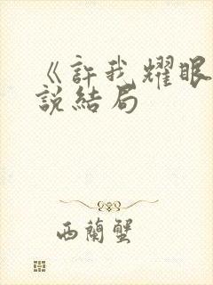 《许我耀眼》小说结局