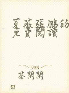 夏薇张鹏的小说免费阅读