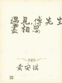 遇见,傅先生无尽相思