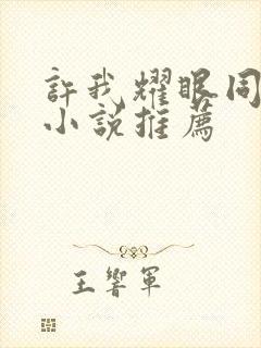 许我耀眼同人文小说推荐