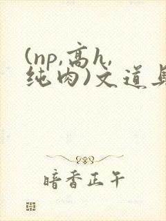(np,高h,纯肉)文道具