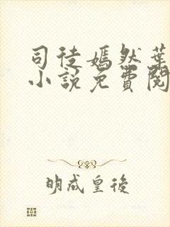 司徒嫣然叶凡的小说免费阅读