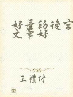 好看的后宫小说文笔好