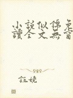 小说似锦免费阅读全文无窗口