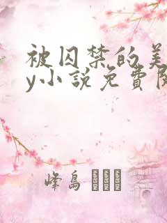 被囚禁的美人by小说免费阅读