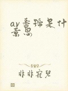 av番号是什么意思