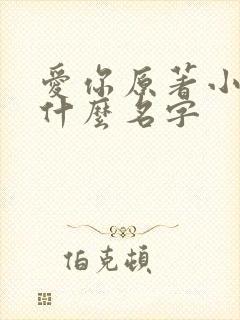 爱你原著小说叫什么名字