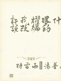 许我耀眼什么小说改编的