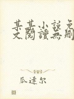 某某小说免费全文阅读无删减