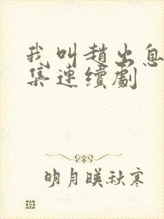 我叫赵出息30集连续剧