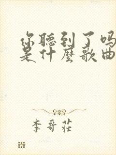 你听到了吗歌词是什么歌曲