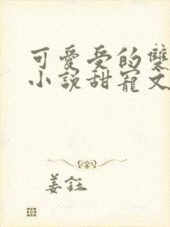 可爱受的双男主小说甜宠文