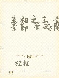 万相之王 全部章节 笔趣阁5200