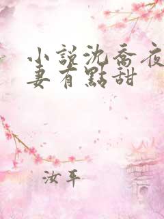 小说沈乔夜少娇妻有点甜