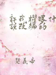 许我耀眼什么小说改编的