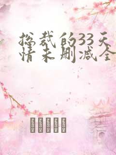 总裁的33天索情未删减全文阅读