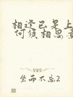 相逢已是上上签 何须相思煮余年的意思