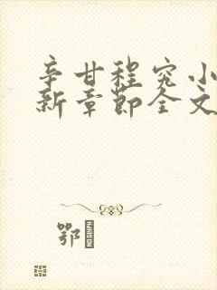 辛甘程究小说最新章节全文免费阅读