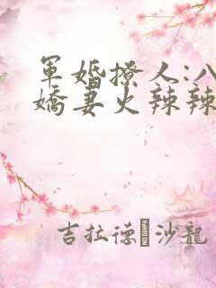 军婚撩人:八零娇妻火辣辣完结版