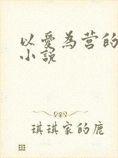 以爱为营的原著小说