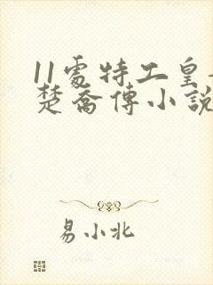 11处特工皇妃楚乔传小说