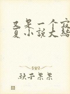 又是一个寂寞冬夏小说大结局