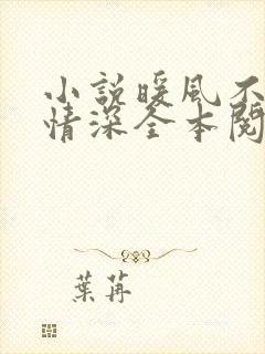 小说暖风不及你情深全本阅读