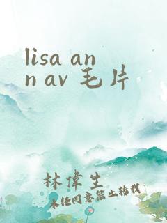 lisa ann av 毛片