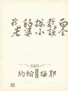 我的总裁白富美老婆小说全集完整版