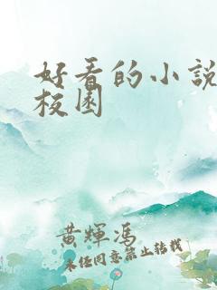 好看的小说推荐校园