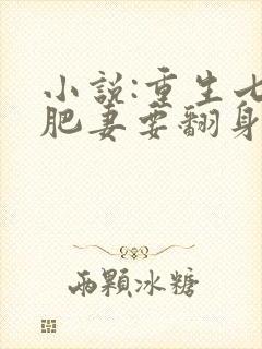 小说:重生七零肥妻要翻身