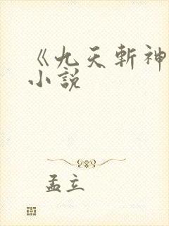 《九天斩神诀》小说