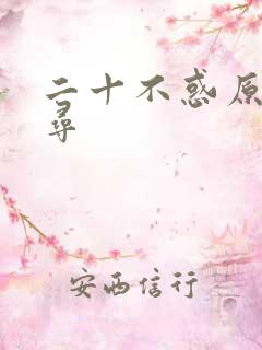 二十不惑原著周寻