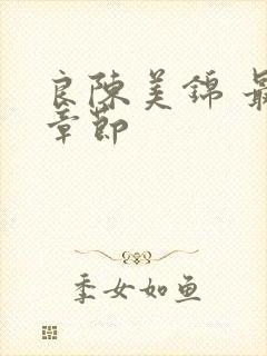 良陈美锦 最新章节