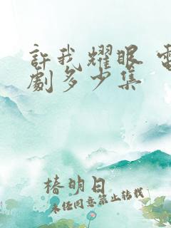 许我耀眼 电视剧多少集