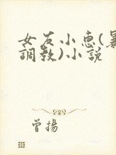 女友小惠(暴露调教)小说