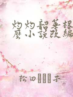 灼灼韶华根据什么小说改编