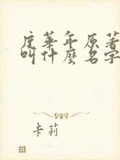 度华年原著小说叫什么名字