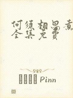 何须相思煮余年全集免费