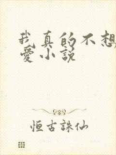 我真的不想谈恋爱小说